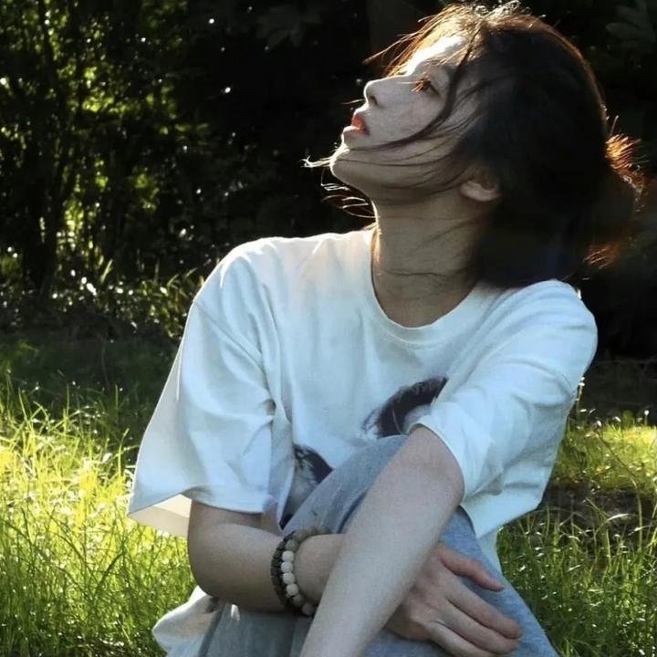 粉红豹